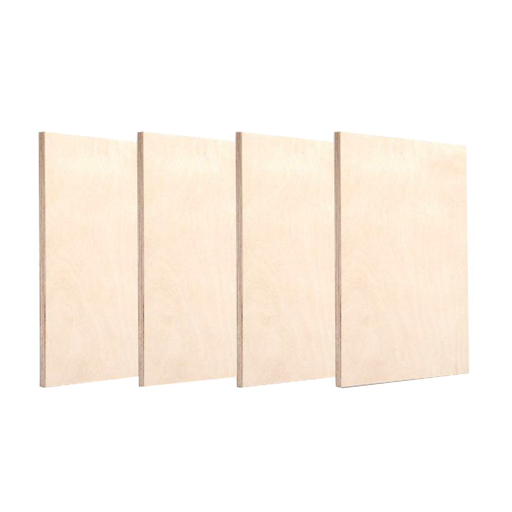 Mga Nangungunang Marka ng Birch Plywood(B/BB & S/BB)